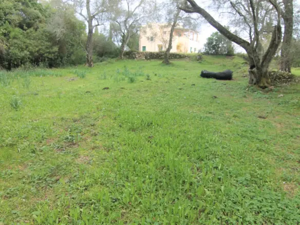 Land In Corfu, Greece