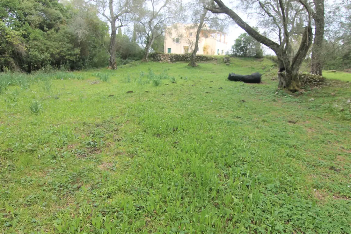 Land Of 4216 M² In Corfu