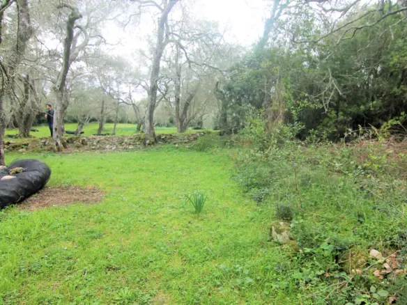Land In Corfu, Greece