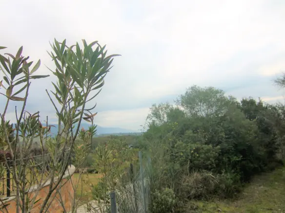 Land In Corfu, Greece