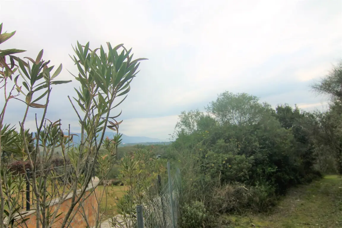 Land Of 4216 M² In Corfu