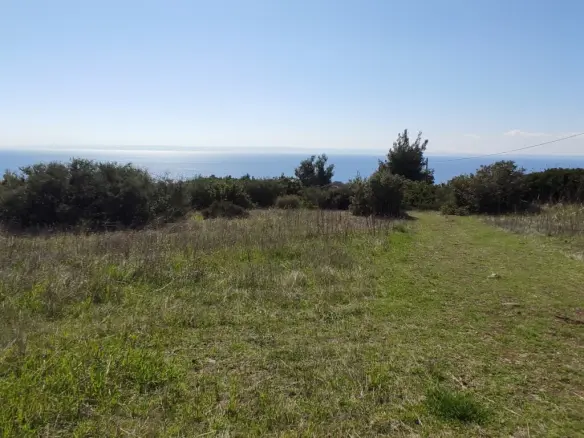 Land In Poligiros, Greece