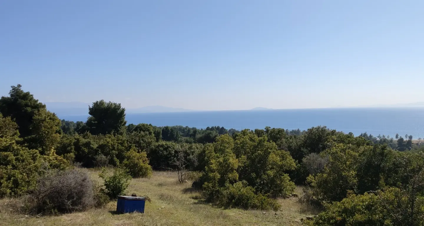 Land Of 4170 M² In Sithonia, Chalkidiki