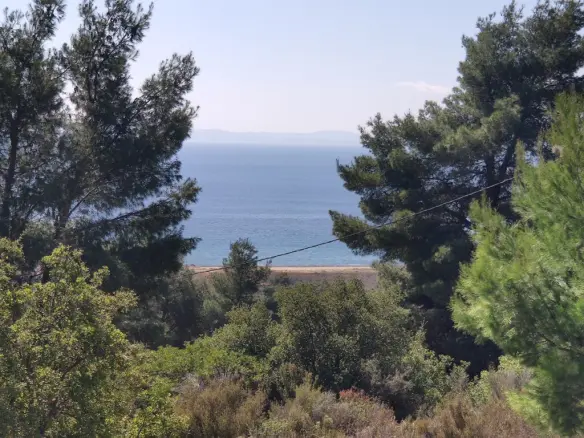 Grundstück von 4170 m² in Sithonia, Chalkidiki