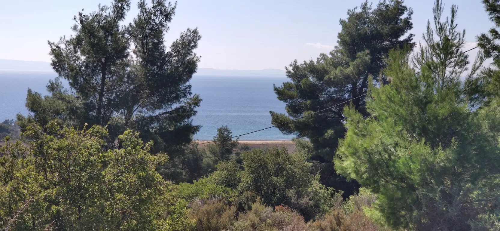 Land Of 4170 M² In Sithonia, Chalkidiki