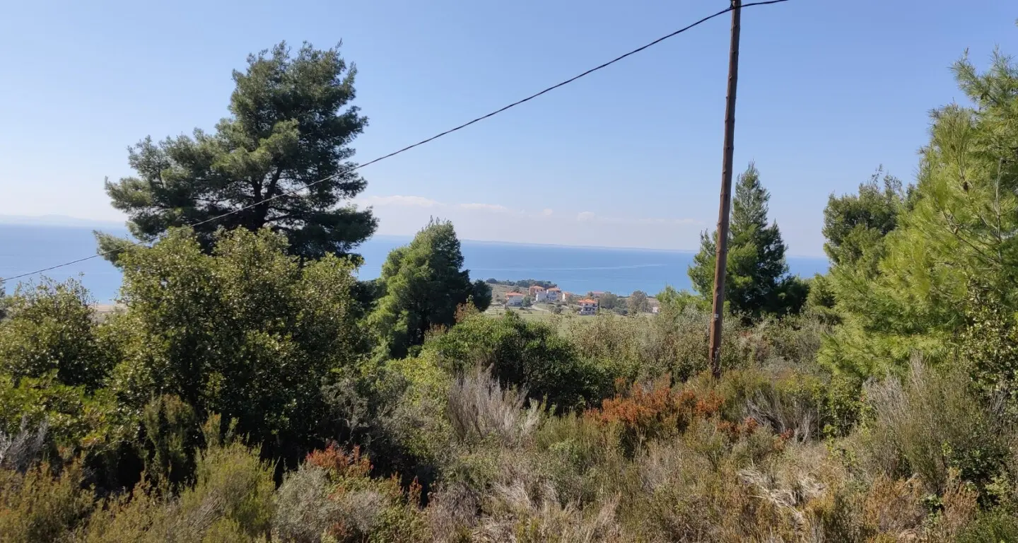 Land Of 4170 M² In Sithonia, Chalkidiki