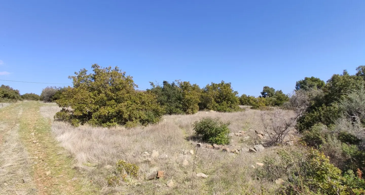 Land Of 4170 M² In Sithonia, Chalkidiki