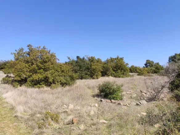 Land In Poligiros, Greece