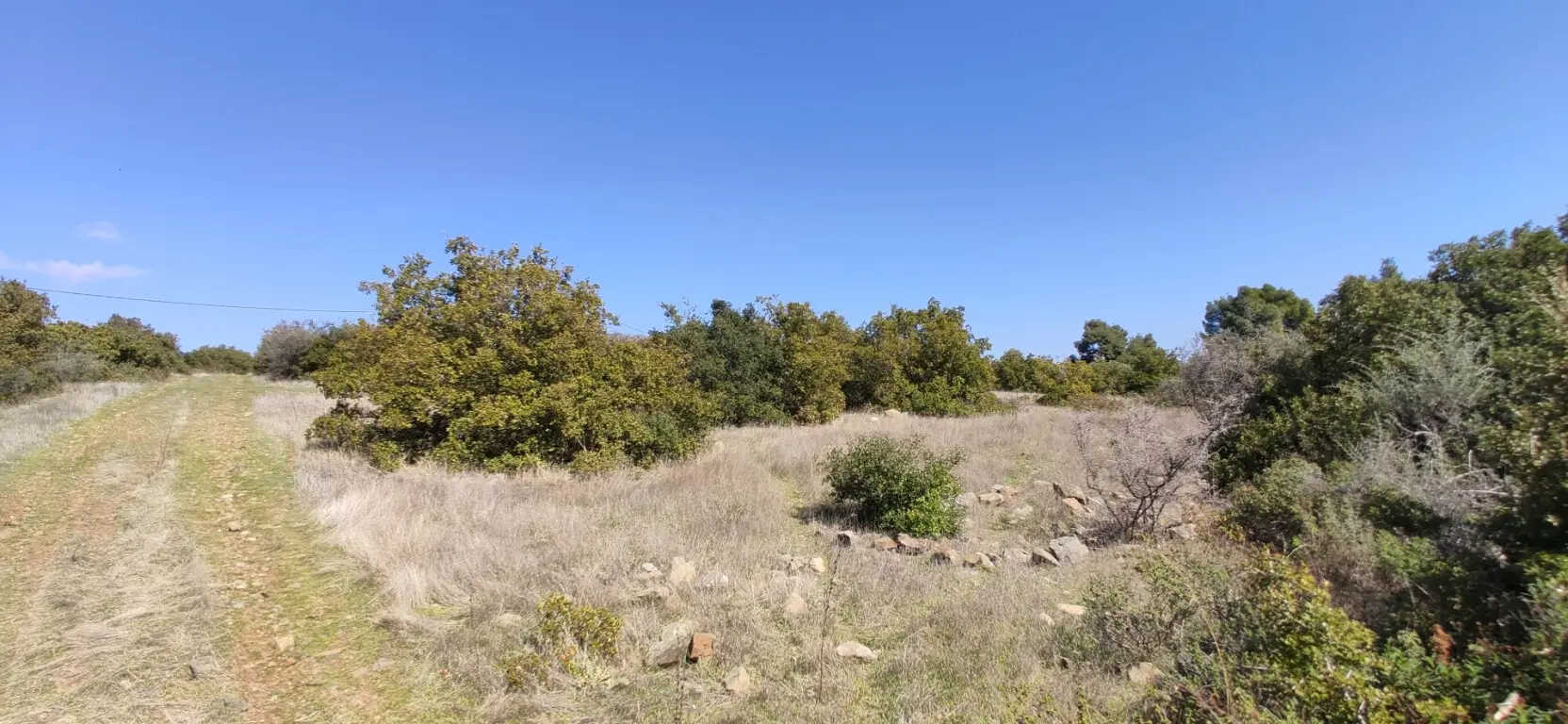 Land Of 4170 M² In Sithonia, Chalkidiki
