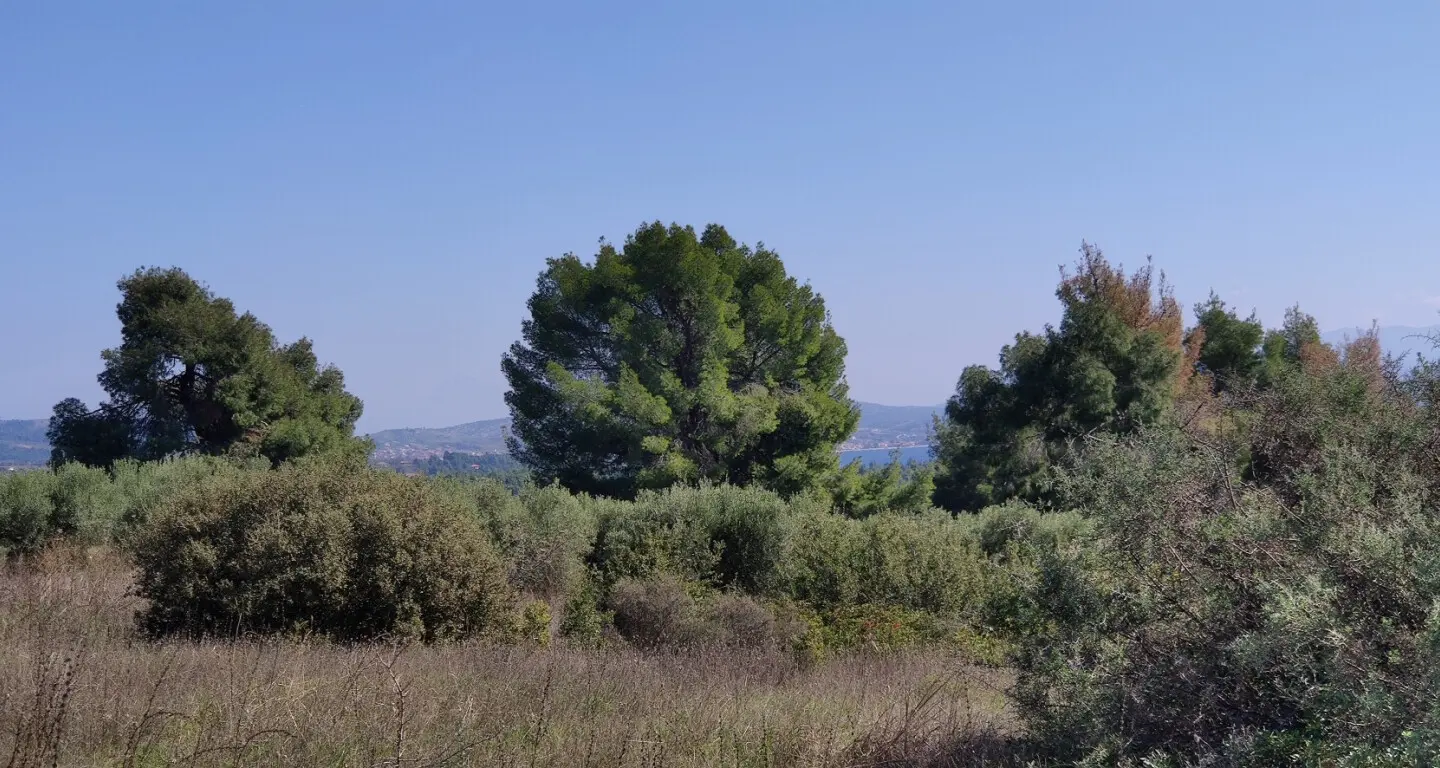 Land Of 4170 M² In Sithonia, Chalkidiki