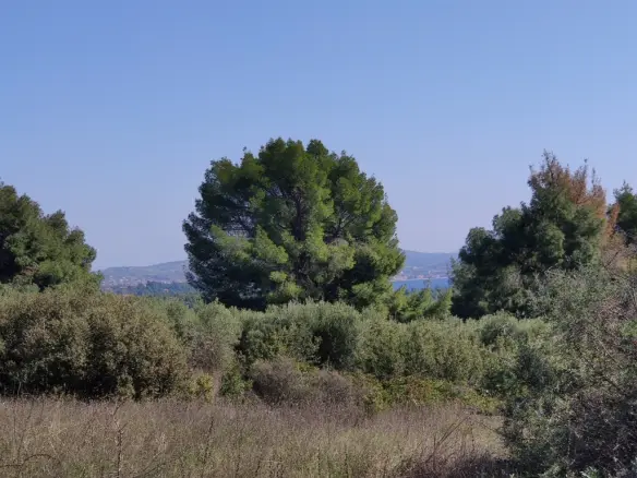 Land In Poligiros, Greece