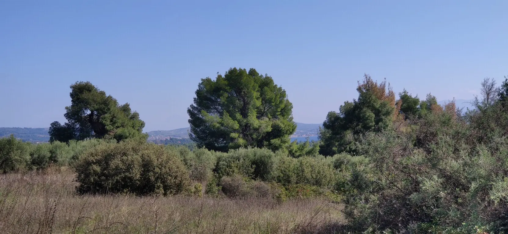 Land Of 4170 M² In Sithonia, Chalkidiki
