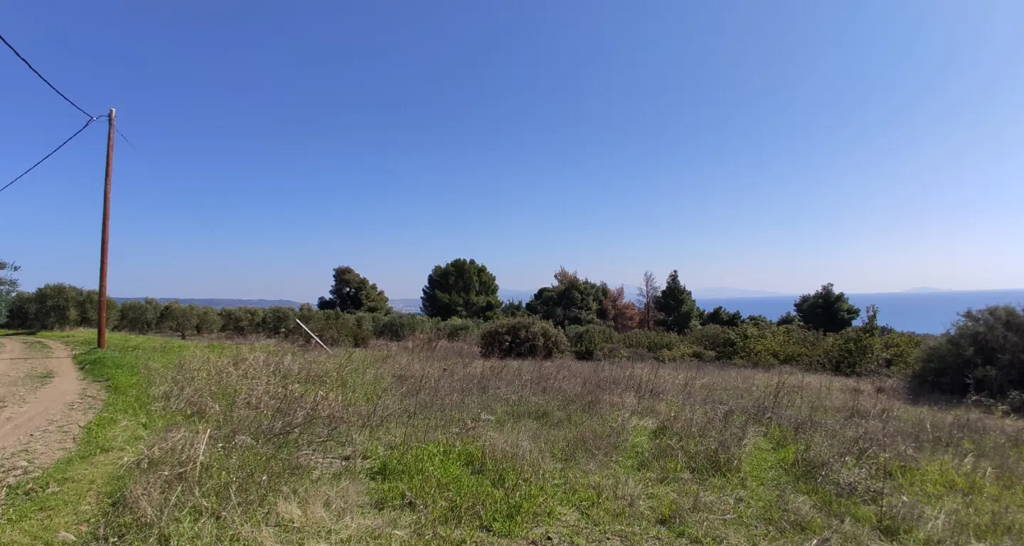 Land Of 4170 M² In Sithonia, Chalkidiki