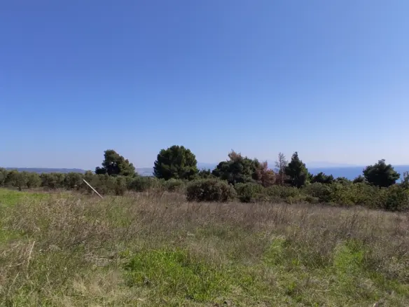Land In Poligiros, Greece
