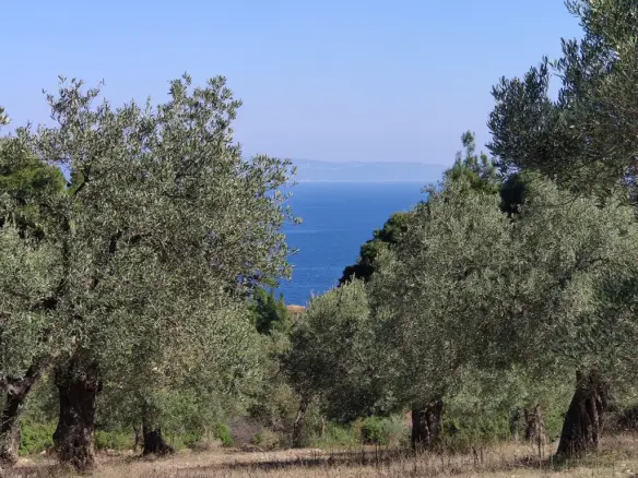 Land In Sithonia, Greece