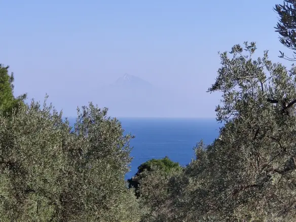 Grundstück von 9000 m² in Sithonia, Chalkidiki