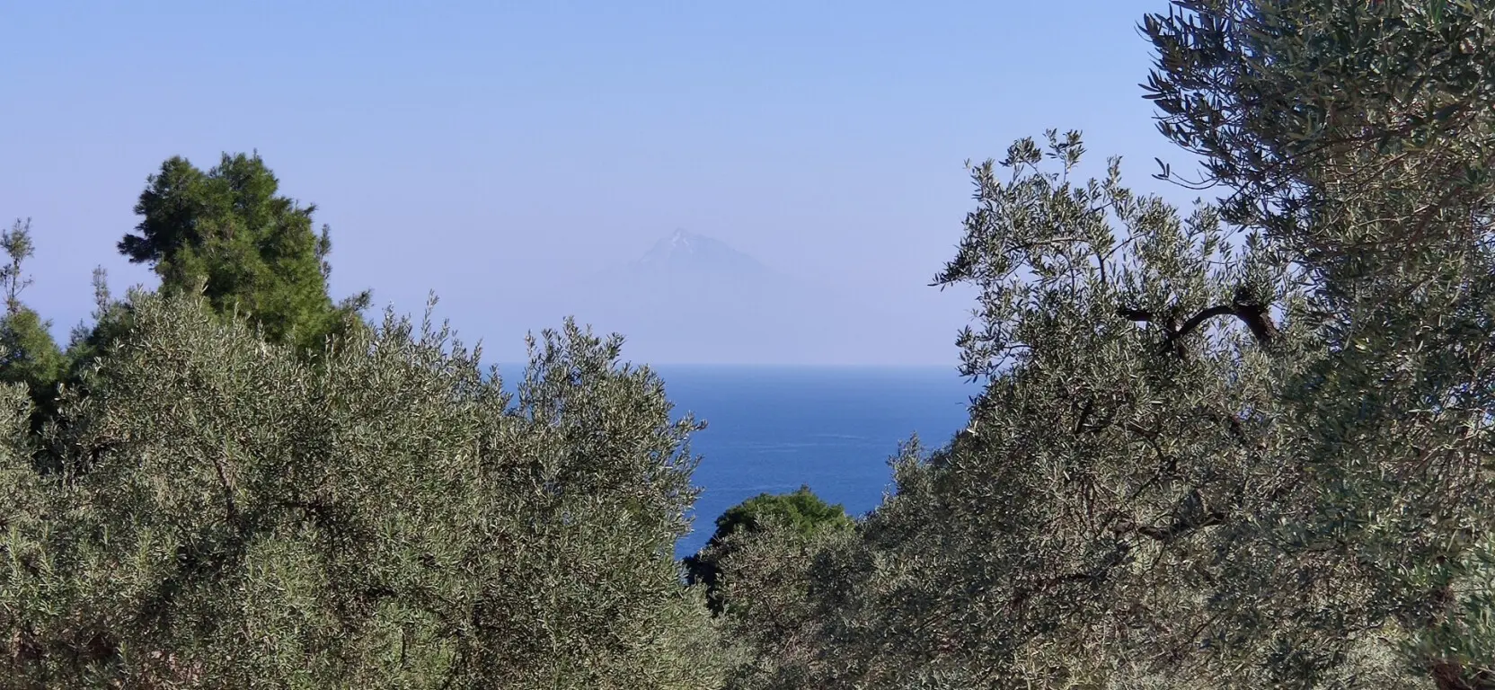 Land Of 9000 M² In Sithonia, Chalkidiki