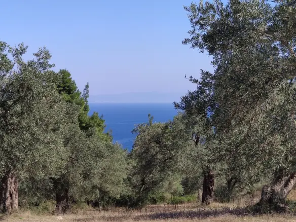 Land In Sithonia, Greece