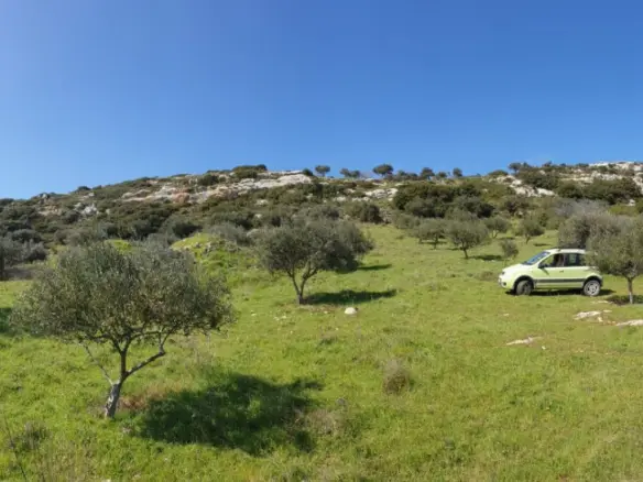 Land In Archanes, Greece