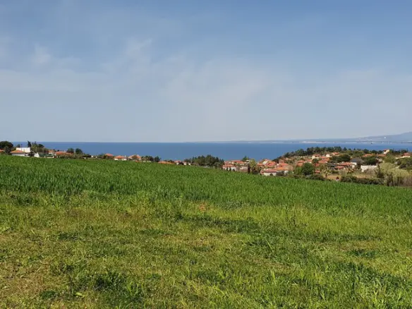 Land Of 5250 M² In Kassandra, Chalkidiki
