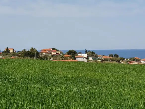 Land In Kassandra, Greece