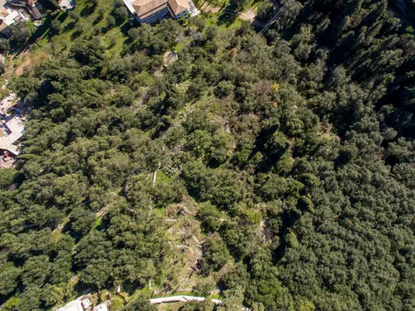 Land In Corfu, Greece