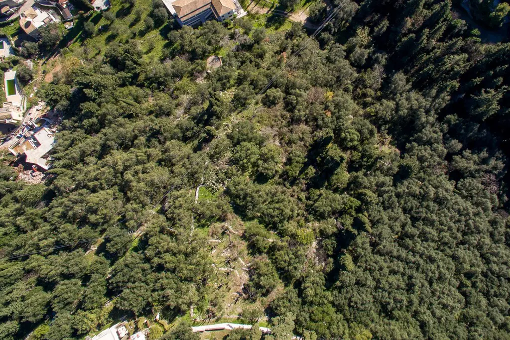 Land Of 5000 M² In Corfu