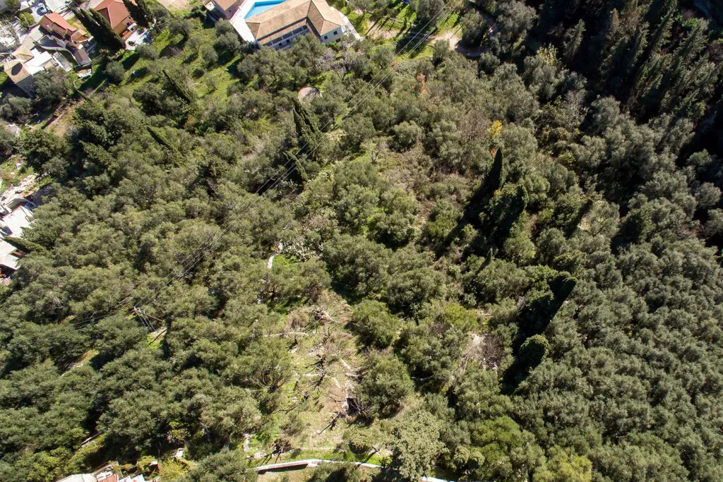 Land Of 5000 M² In Corfu