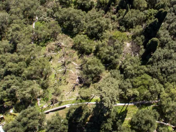 Land In Corfu, Greece