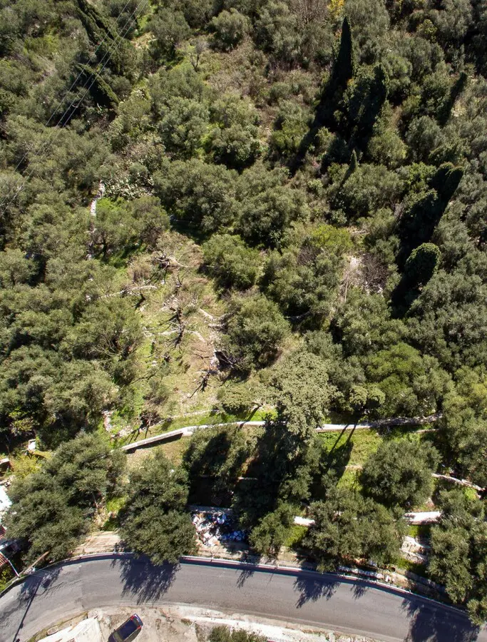 Land Of 5000 M² In Corfu