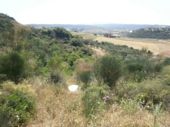 Land Of 4188 M² In Sithonia, Chalkidiki