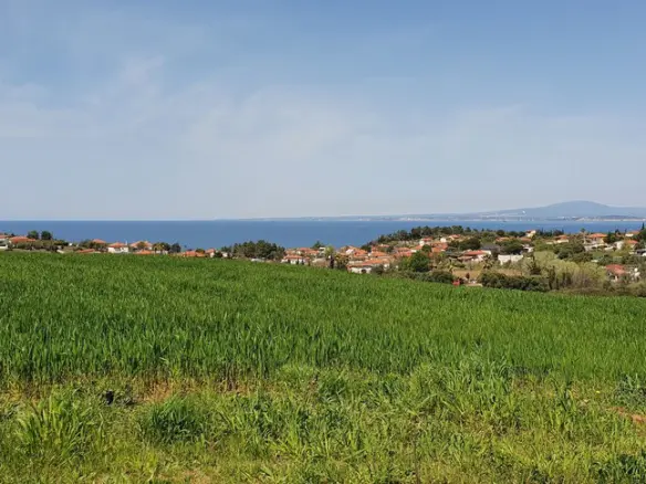 Land In Kassandra, Greece