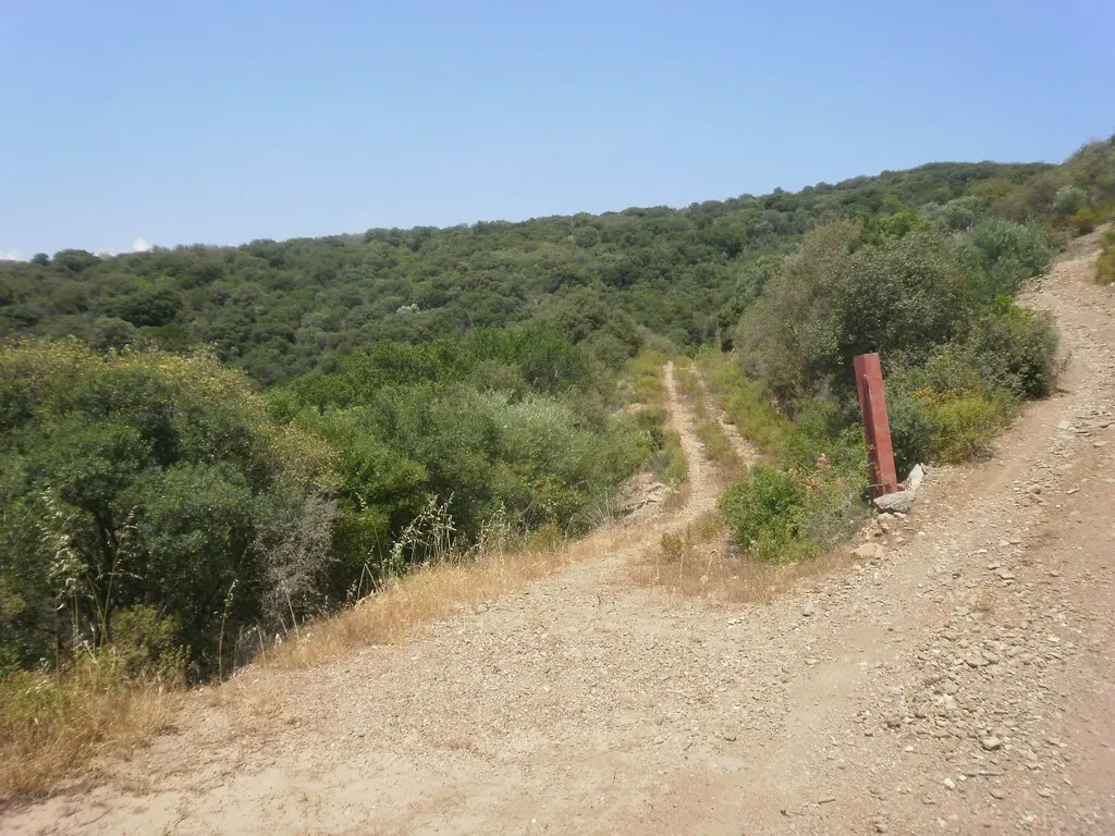 Land Of 6070 M² In Athos, Chalkidiki