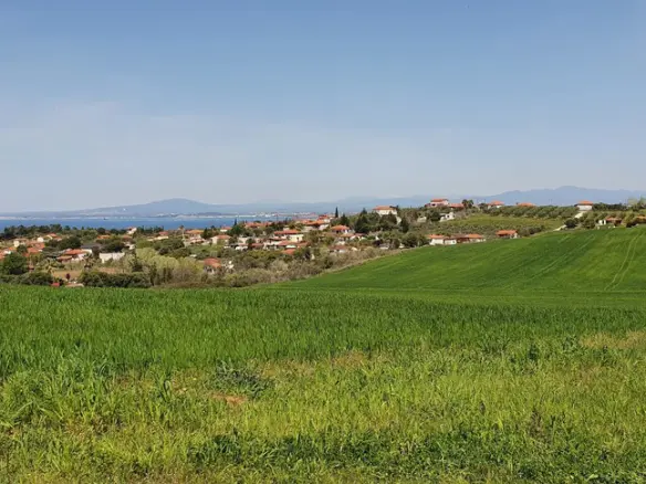 Land In Kassandra, Greece