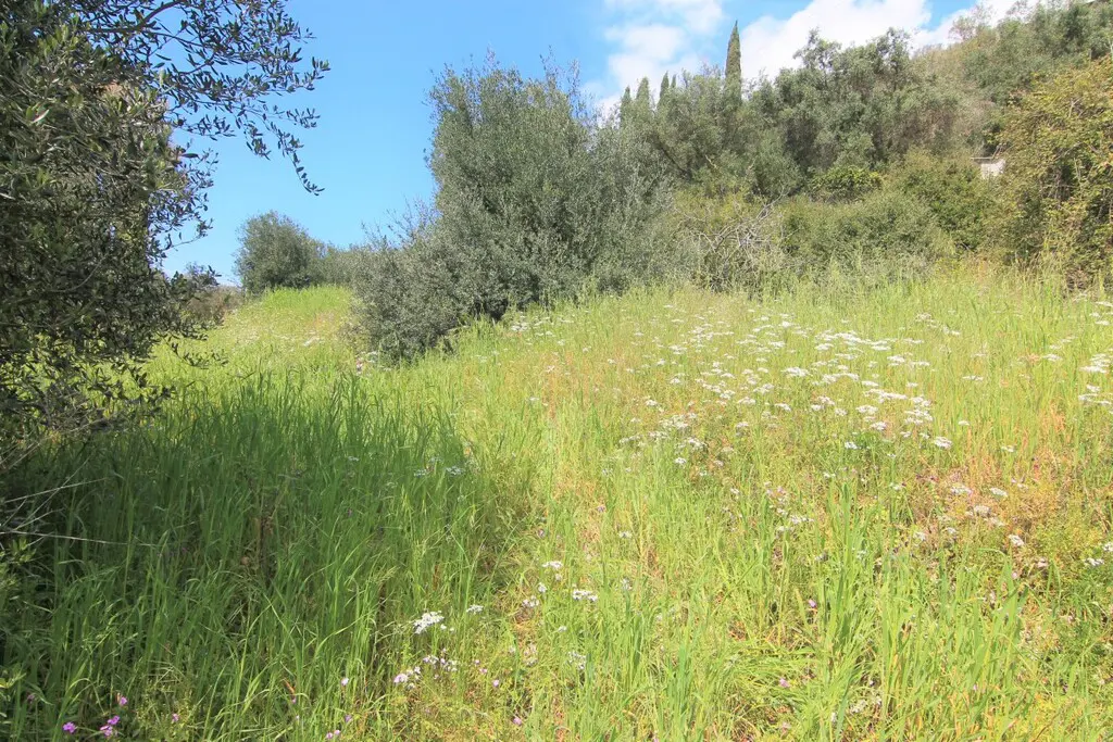Land Of 1206 M² In Corfu