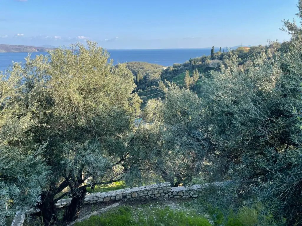Land Of 5000 M² In Corfu