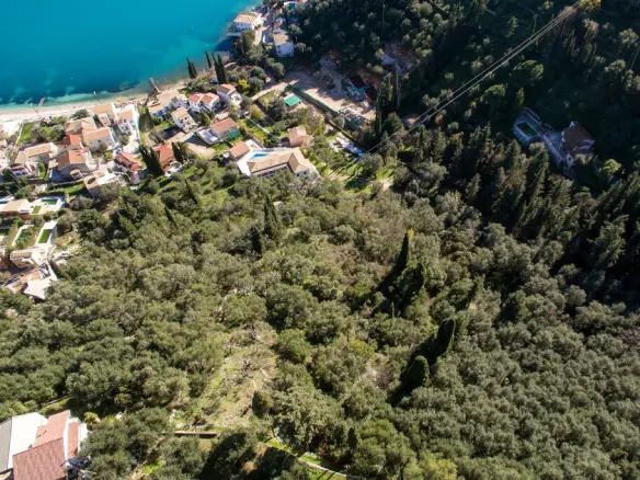 Land Of 5000 M² In Corfu