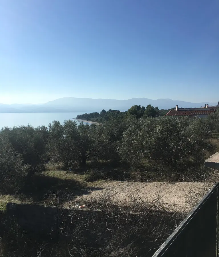 Land Of 2000 M² In Euboea Island