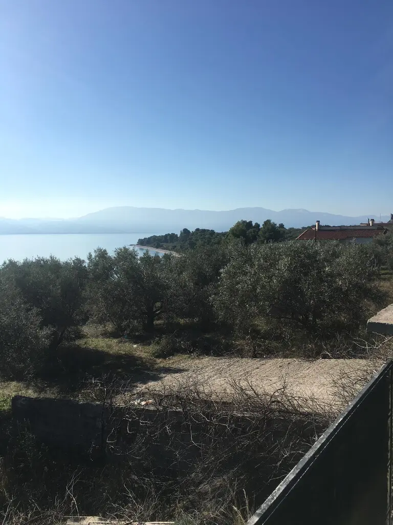 Land Of 2000 M² In Euboea Island