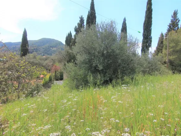 Land Of 1206 M² In Corfu