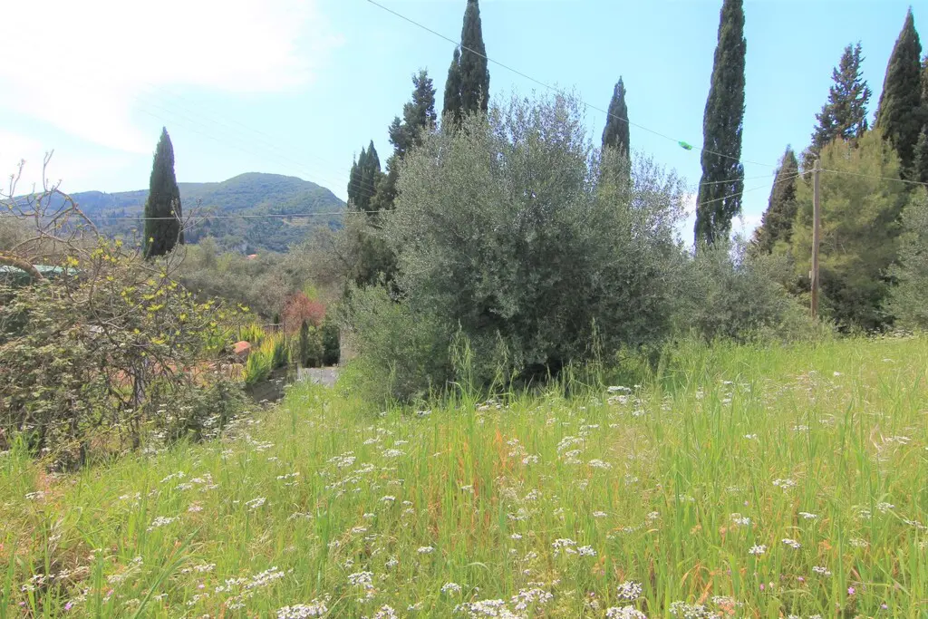 Land Of 1206 M² In Corfu