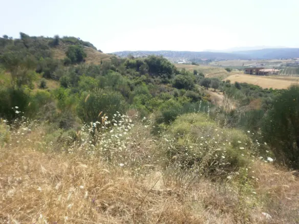 Land In Sithonia, Greece