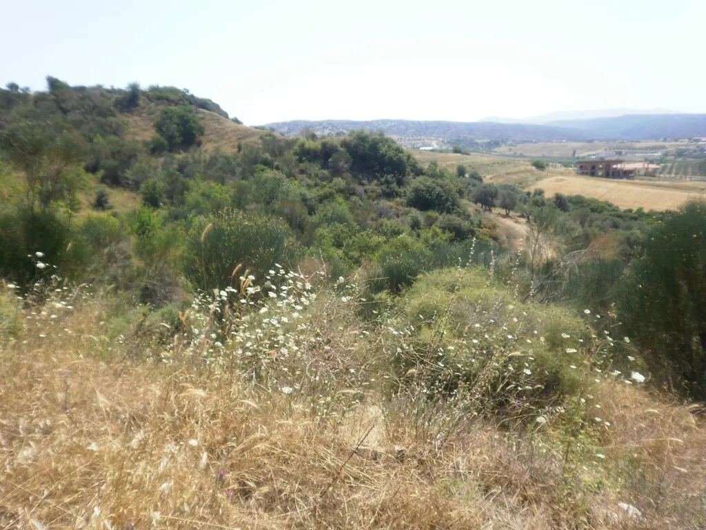 Land Of 4188 M² In Sithonia, Chalkidiki