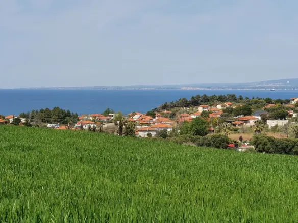 Land In Kassandra, Greece