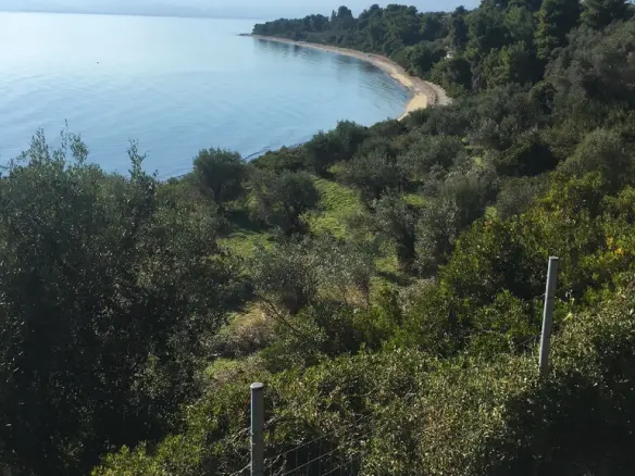 Land In Aidipsos, Greece