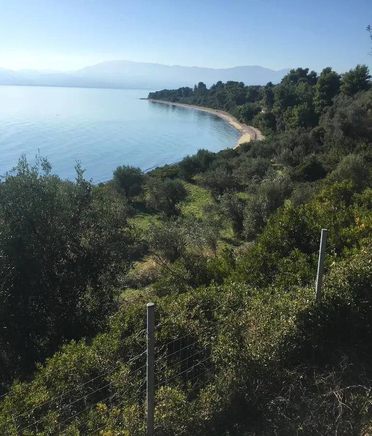 Land Of 2000 M² In Euboea Island