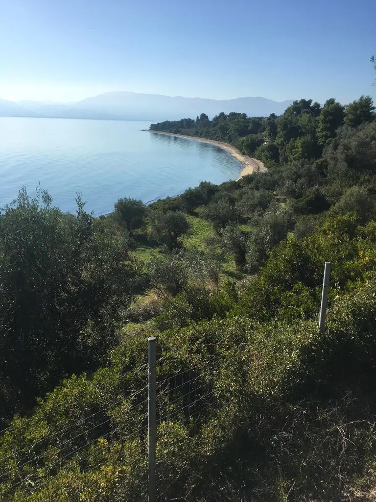 Land Of 2000 M² In Euboea Island