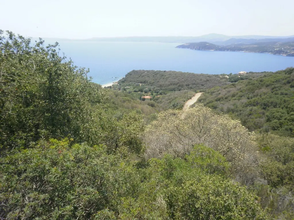 Land Of 6070 M² In Athos, Chalkidiki