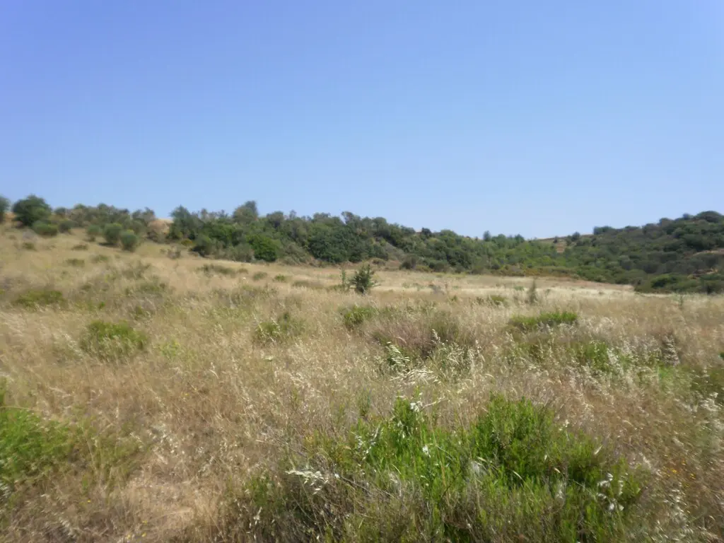 Land Of 4188 M² In Sithonia, Chalkidiki