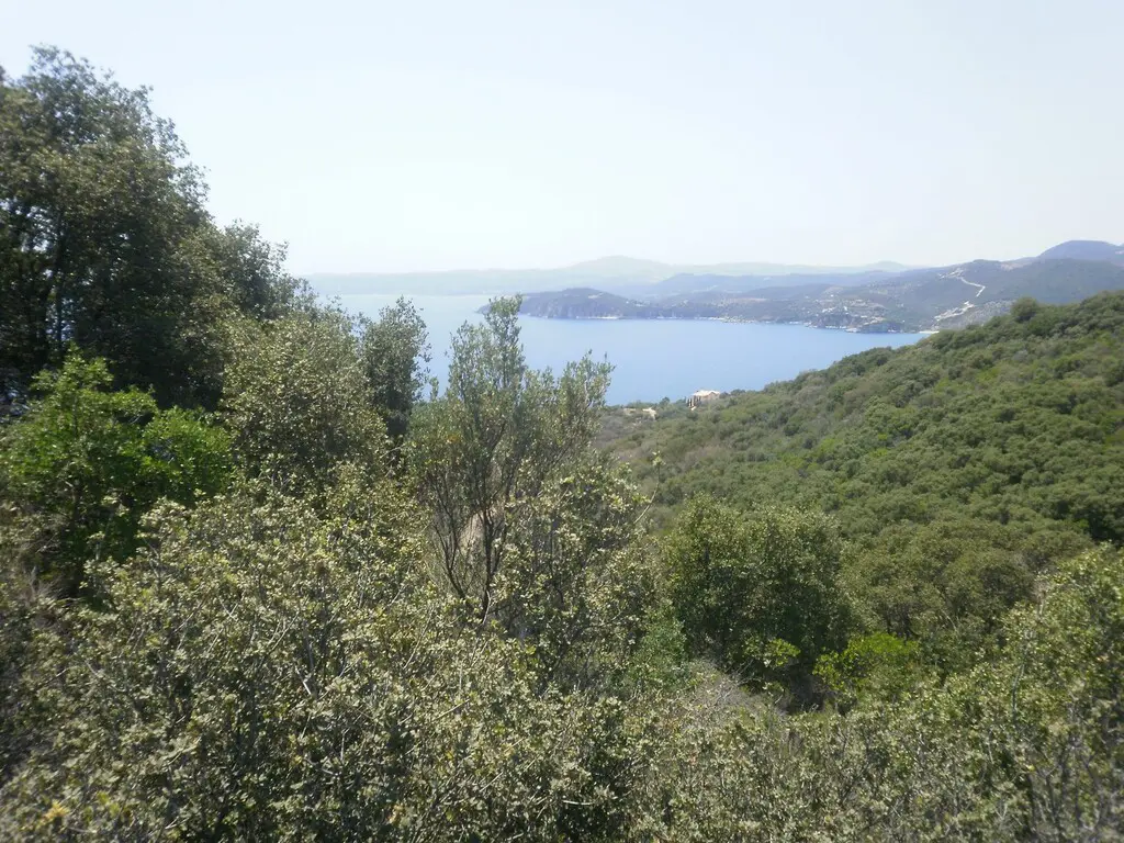 Land Of 6070 M² In Athos, Chalkidiki